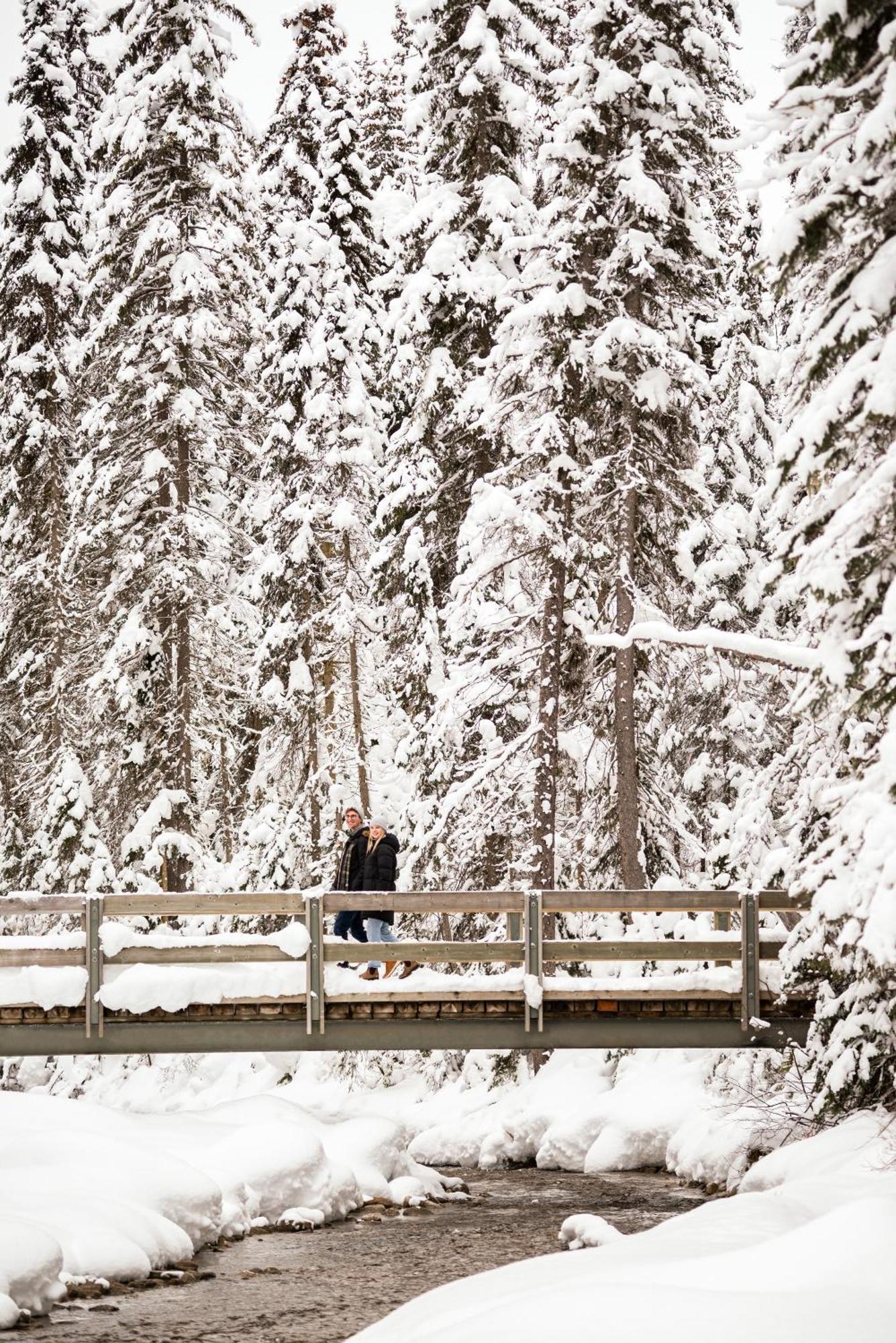Emerald Lake Lodge Филд Экстерьер фото
