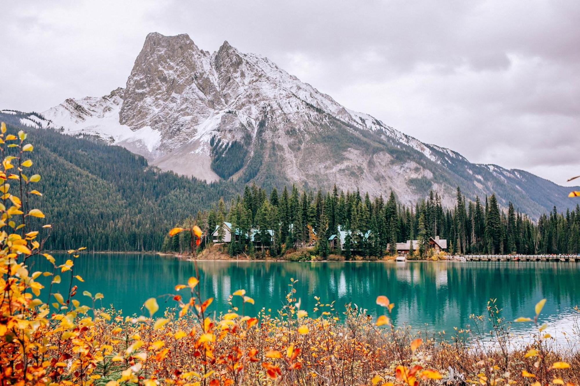 Emerald Lake Lodge Филд Экстерьер фото