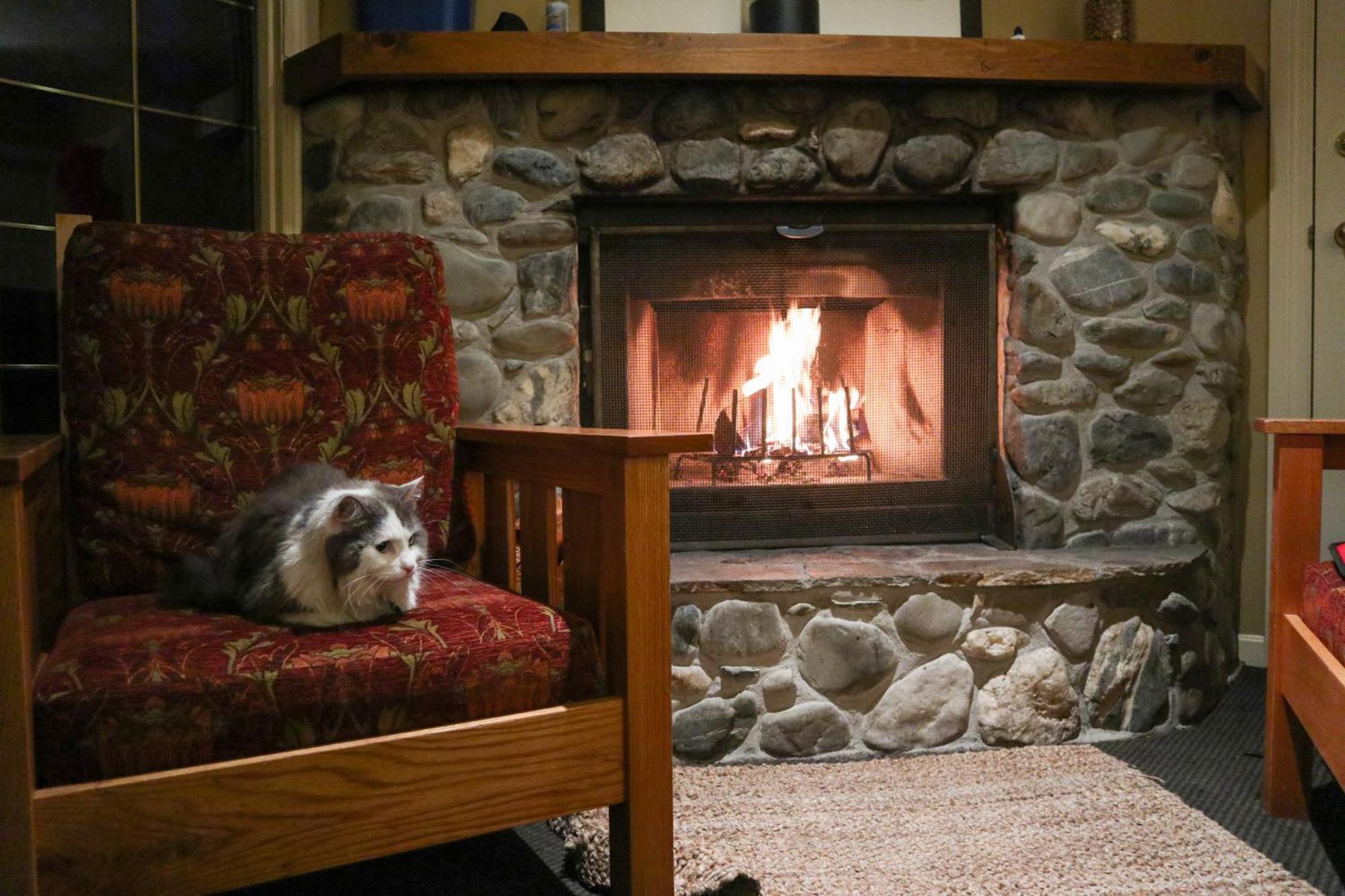 Emerald Lake Lodge Филд Экстерьер фото