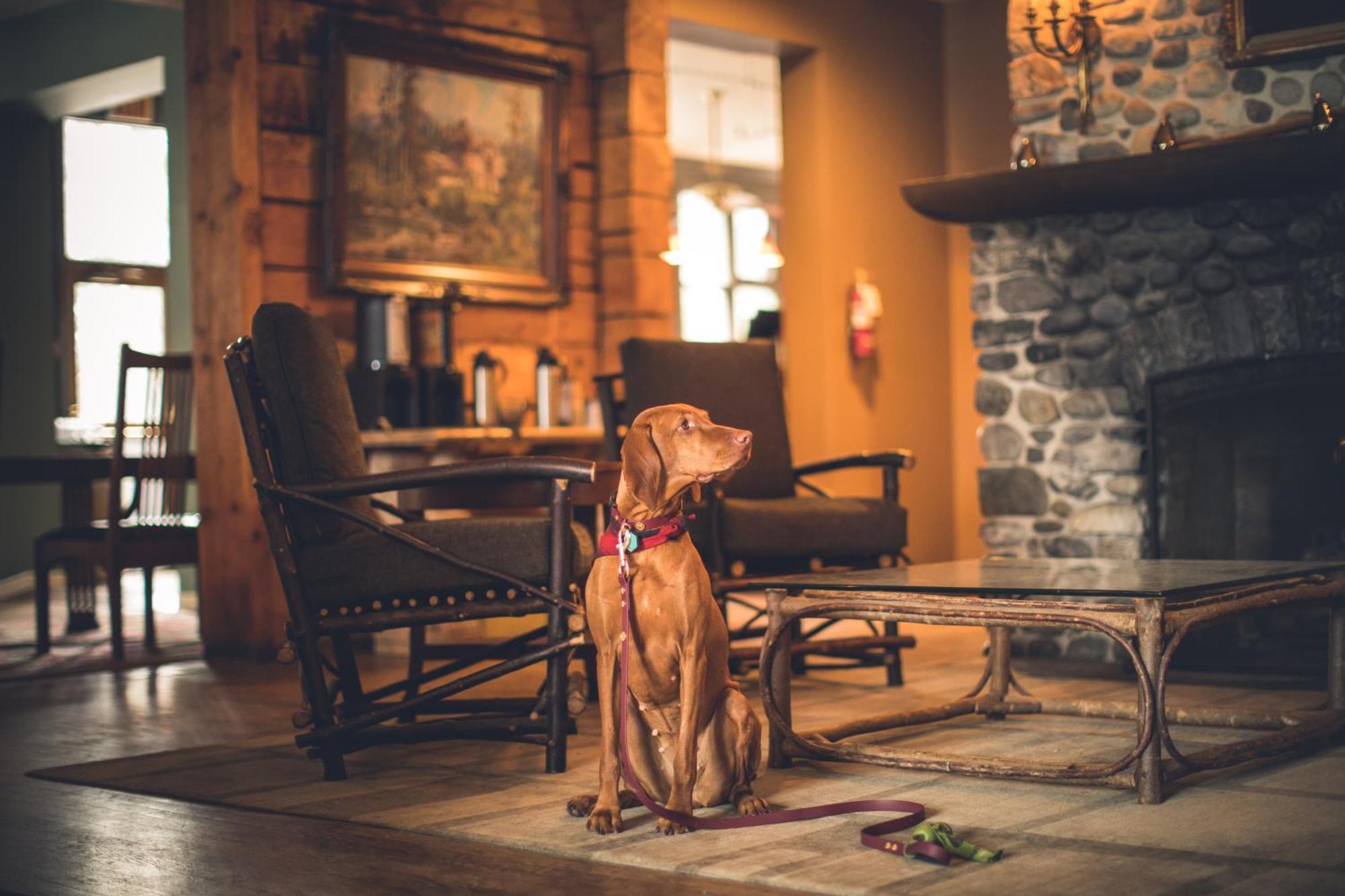 Emerald Lake Lodge Филд Экстерьер фото