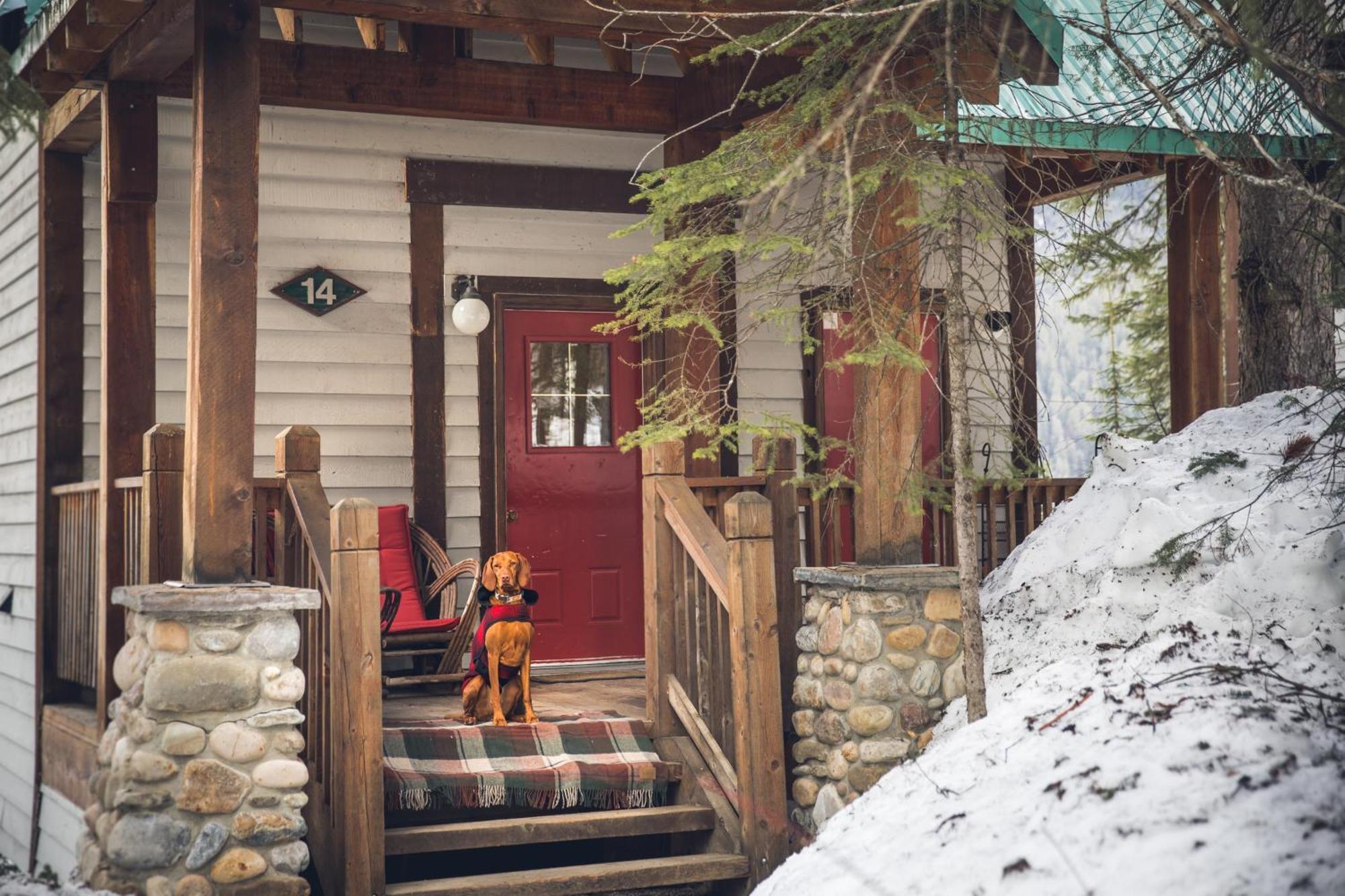 Emerald Lake Lodge Филд Экстерьер фото